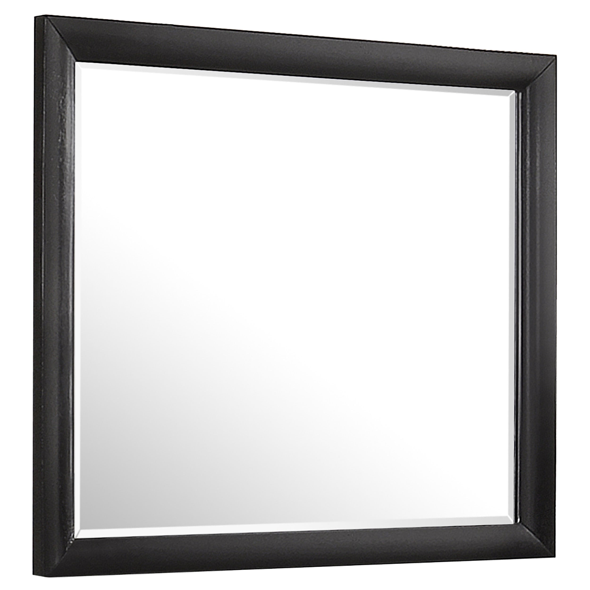 Tampa Furniture Outlet - Coaster - Briana Dresser Mirror Black - 200704