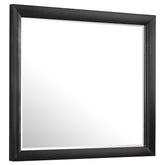 Tampa Furniture Outlet - Coaster - Briana Dresser Mirror Black - 200704