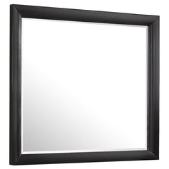 Tampa Furniture Outlet - Coaster - Briana Dresser Mirror Black - 200704