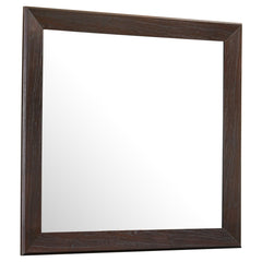 Tampa Furniture Outlet - Coaster - Kauffman Dresser Mirror Dark Cocoa - 204394