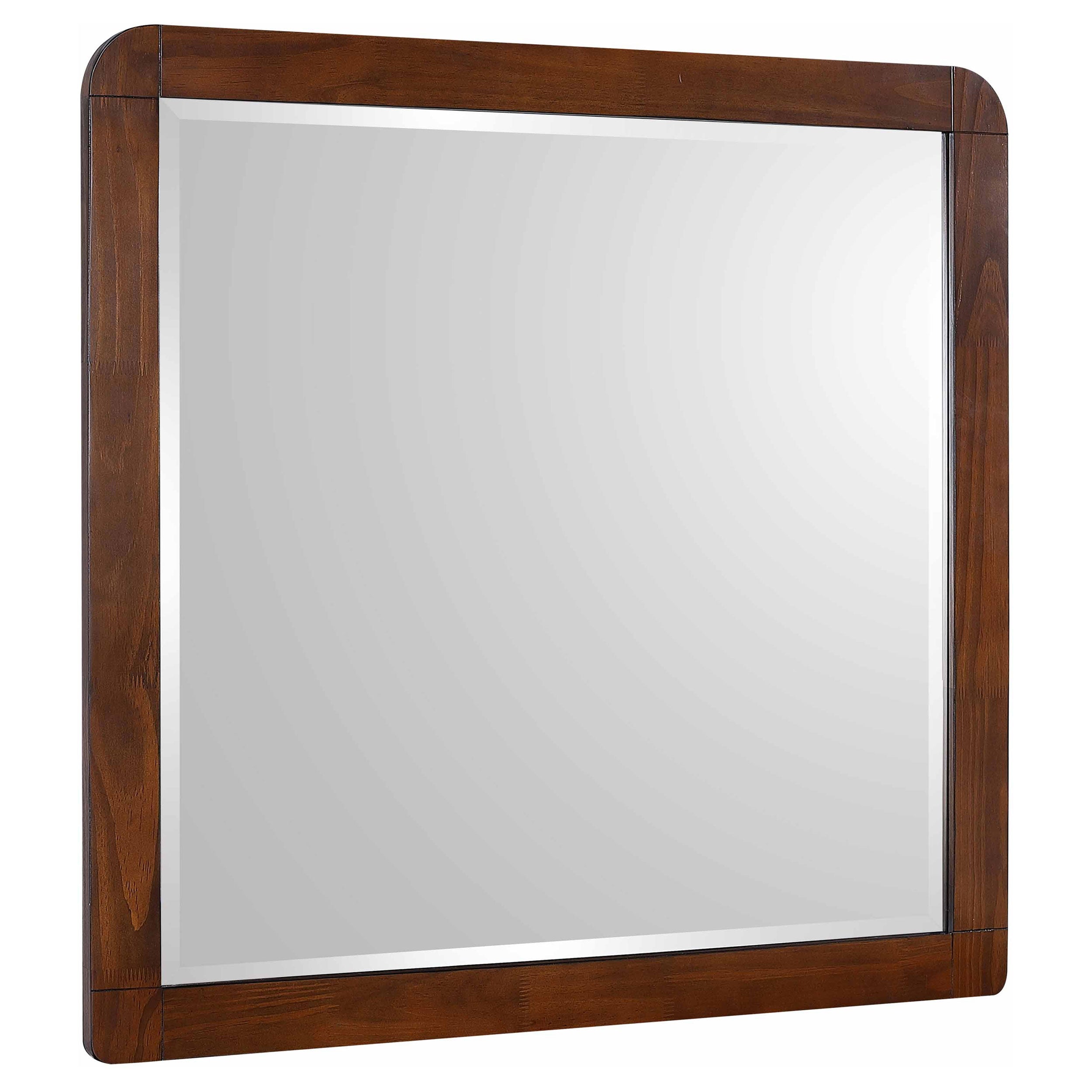 Tampa Furniture Outlet - Coaster - Robyn Dresser Mirror Dark Walnut - 205134
