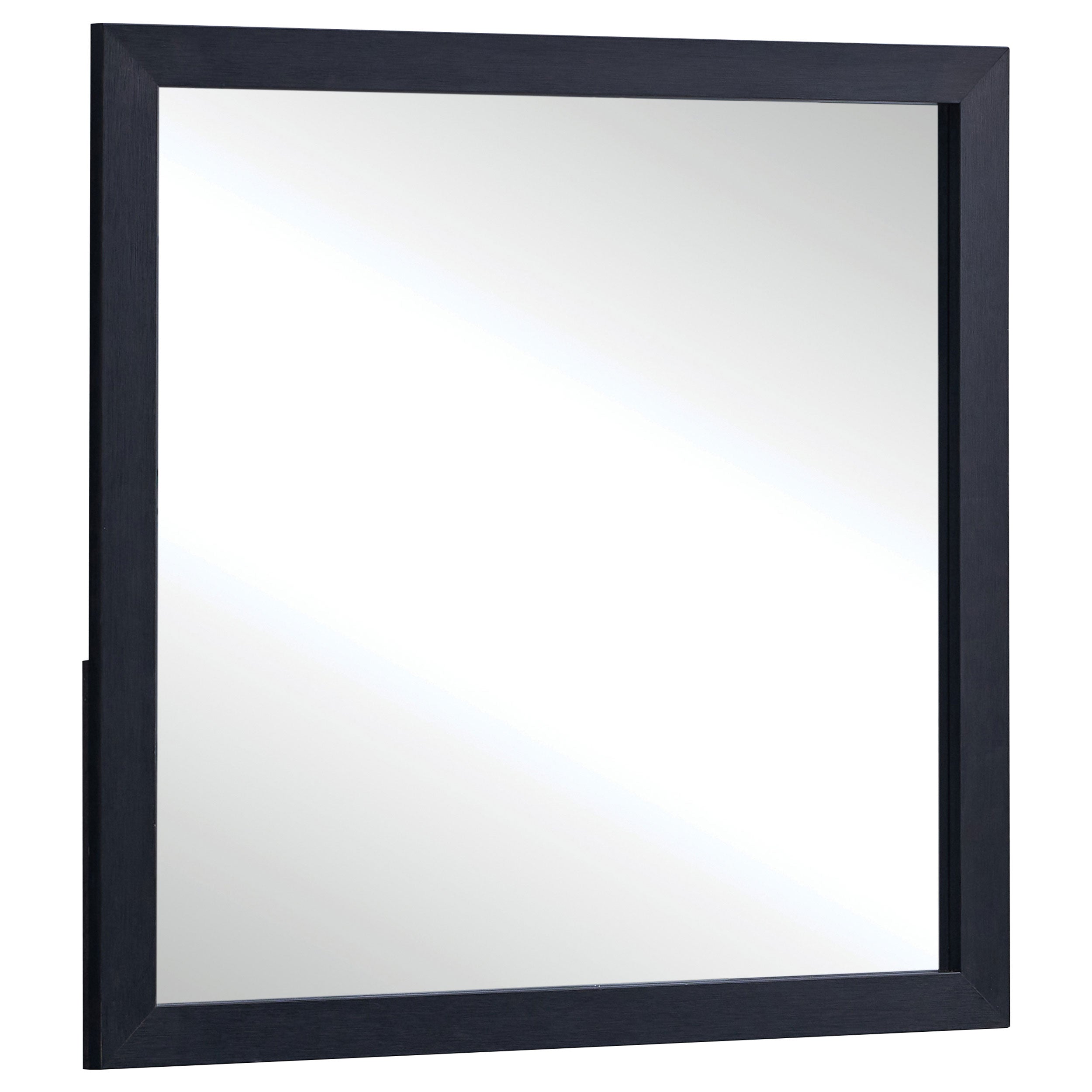 Tampa Furniture Outlet - Coaster - Marceline Dresser Mirror Black - 222834