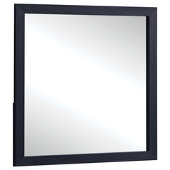 Tampa Furniture Outlet - Coaster - Marceline Dresser Mirror Black - 222834