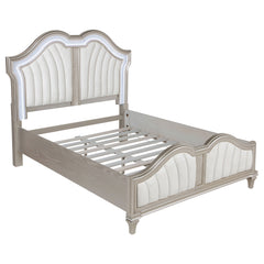 Tampa Furniture Outlet - Coaster - Evangeline Wood Queen LED Panel Bed Silver Oak - 223391Q