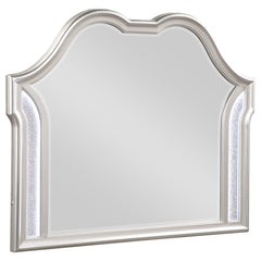 Tampa Furniture Outlet - Coaster - Evangeline Dresser Mirror Silver Oak - 223394