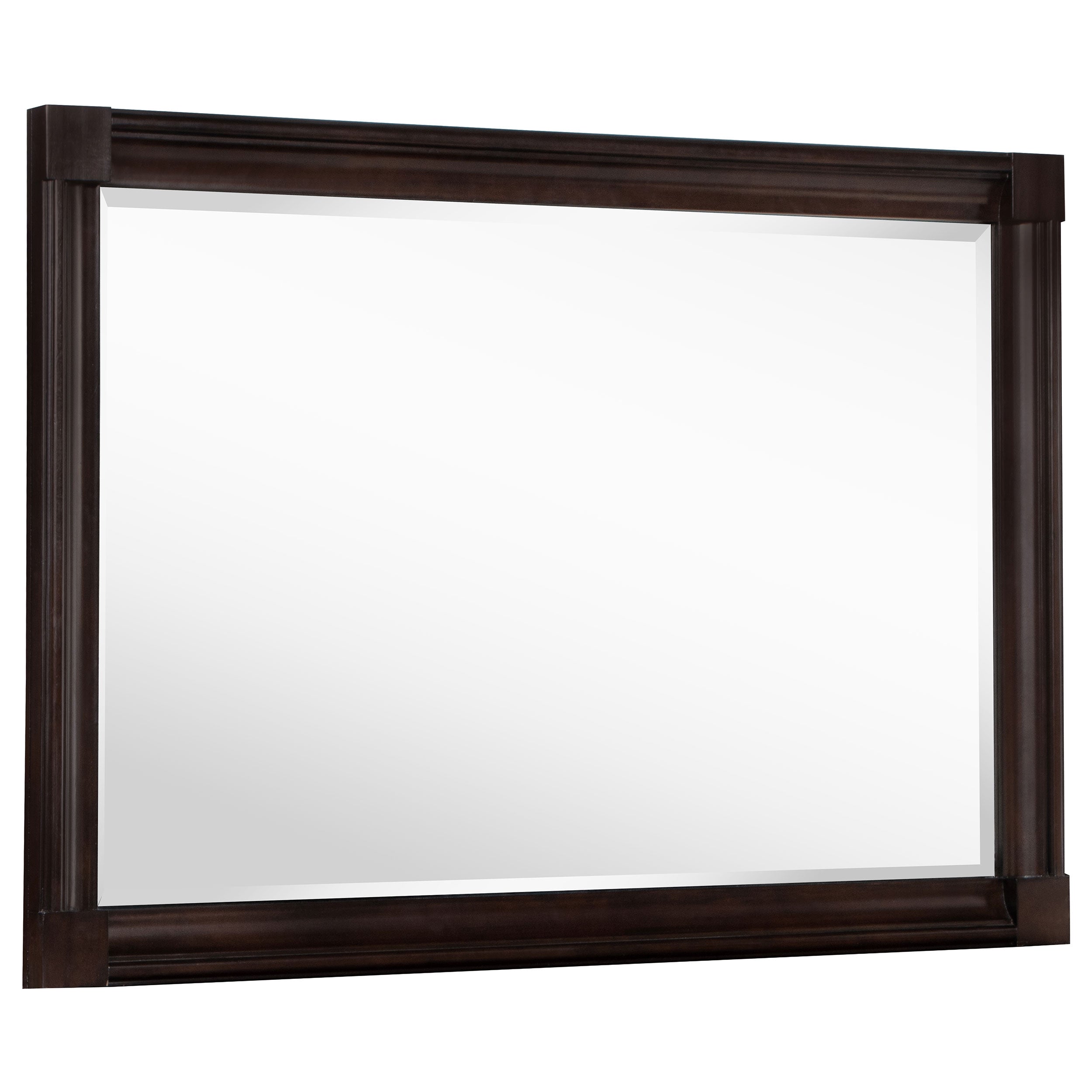 Tampa Furniture Outlet - Coaster - Andover Dresser Mirror Dark Oak - 223634