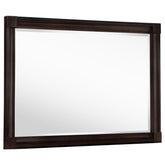 Tampa Furniture Outlet - Coaster - Andover Dresser Mirror Dark Oak - 223634