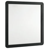 Tampa Furniture Outlet - Coaster - Cavelle Dresser Mirror Black - 223664