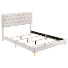 Tampa Furniture Outlet - Coaster - Kendall Upholstered Queen Panel Bed White - 224401Q