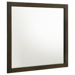 Tampa Furniture Outlet - Coaster - Wilkes Dresser Mirror Dark Cocoa - 224424