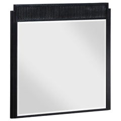 Tampa Furniture Outlet - Coaster - Brookmead Dresser Mirror Black - 224714