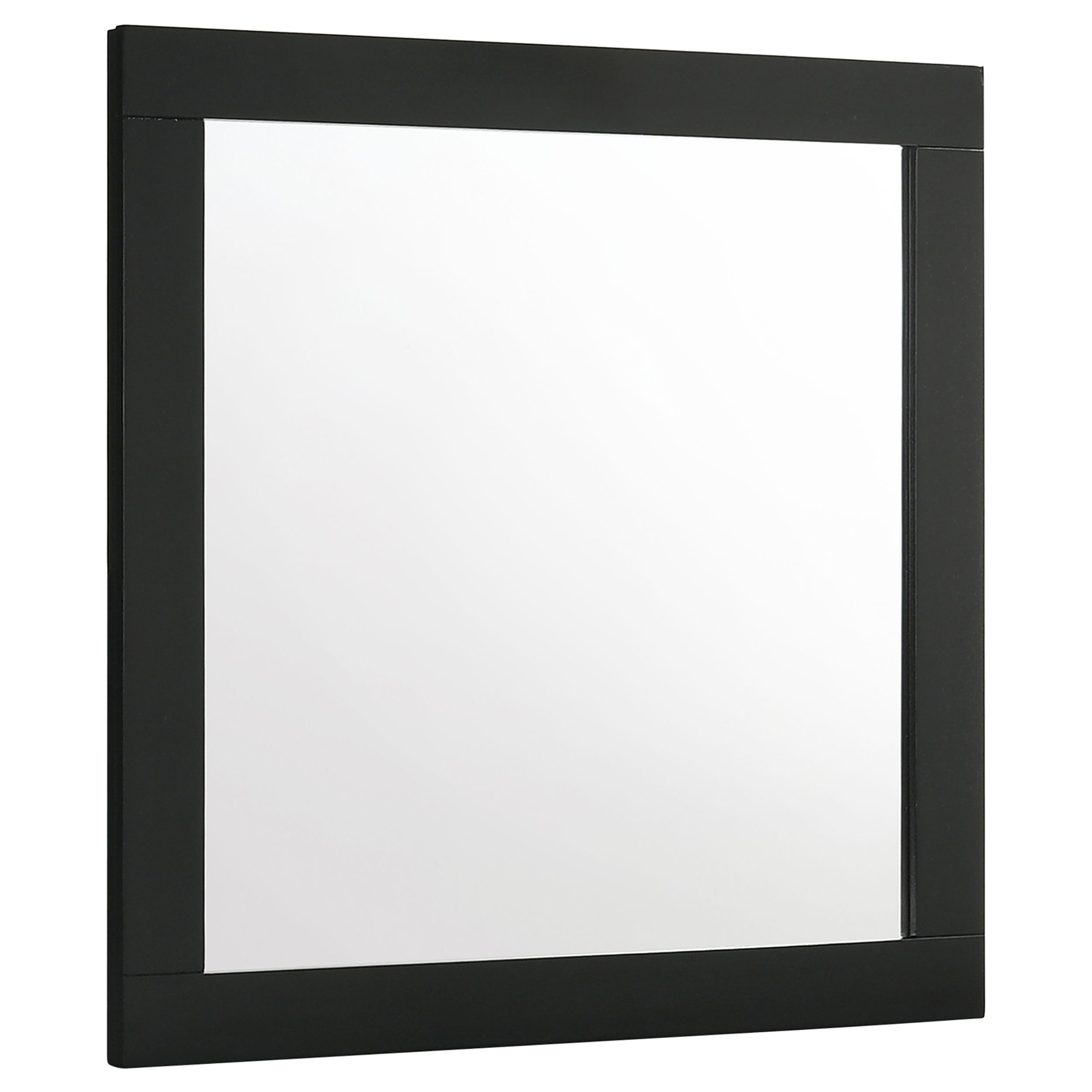Tampa Furniture Outlet - Coaster - Caraway Dresser Mirror Black - 224784
