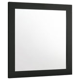 Tampa Furniture Outlet - Coaster - Caraway Dresser Mirror Black - 224784