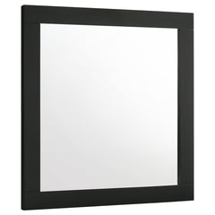 Tampa Furniture Outlet - Coaster - Caraway Dresser Mirror Black - 224784