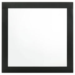 Caraway Dresser Mirror Black