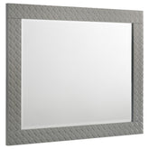 Tampa Furniture Outlet - Coaster - Ives Dresser Mirror Grey High Gloss - 224974