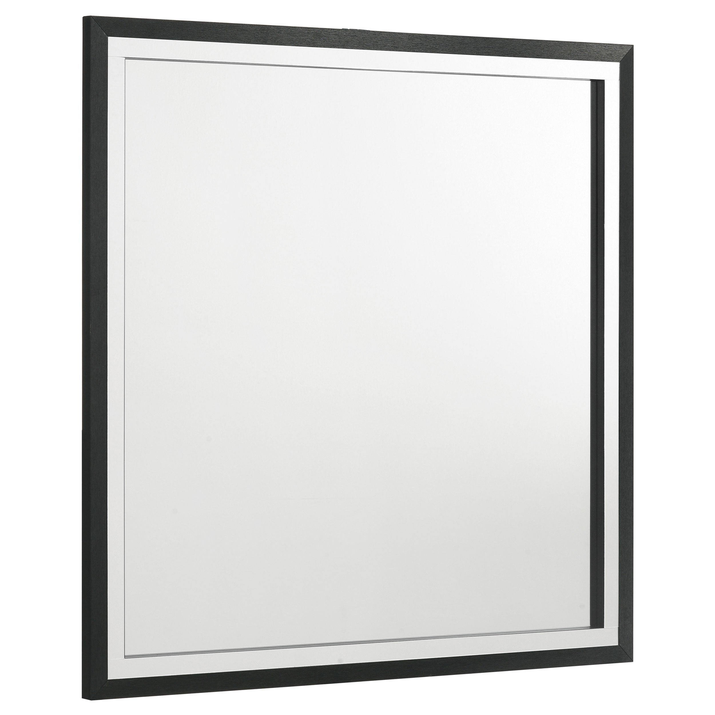 Tampa Furniture Outlet - Coaster - Lucia Dresser Mirror Black - 224994