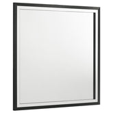 Tampa Furniture Outlet - Coaster - Lucia Dresser Mirror Black - 224994