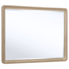 Tampa Furniture Outlet - Coaster - Ladera Dresser Mirror Light Elm - 225084