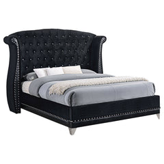 Tampa Furniture Outlet - Coaster - Barzini Upholstered Queen Wingback Bed Black - 300643Q