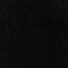 Dorian Faux Leather Upholstered Twin Panel Bed Black