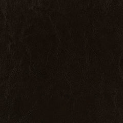 Dorian Faux Leather Upholstered Twin Panel Bed Brown