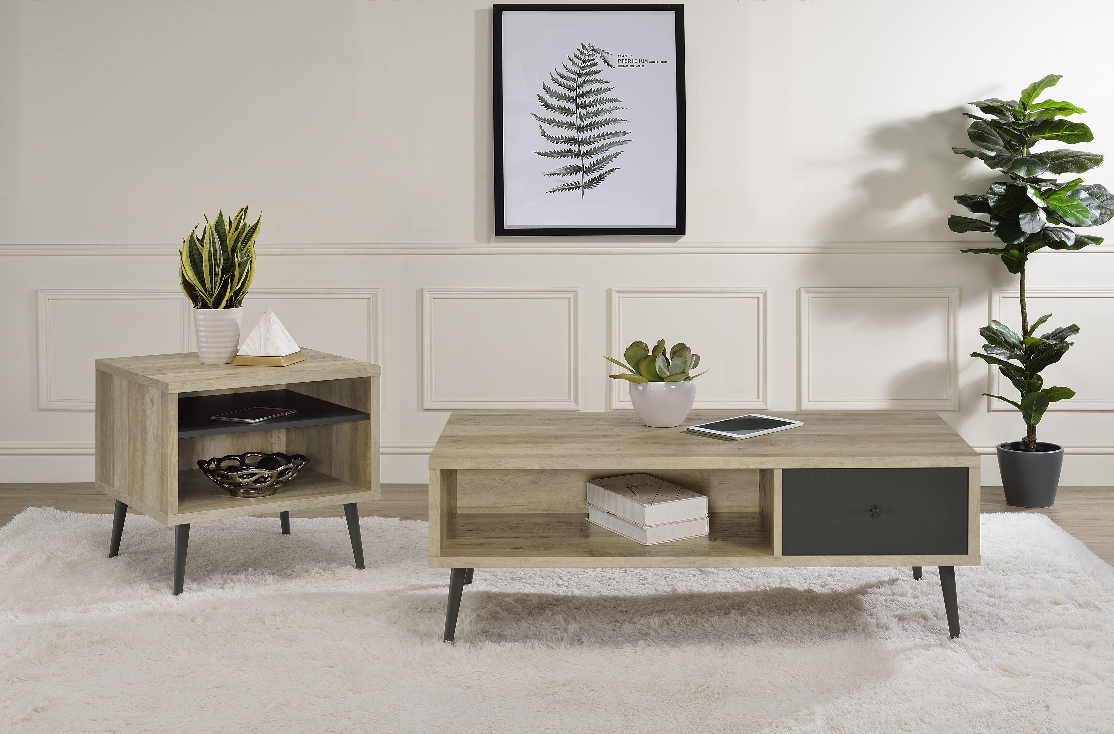 Tampa Furniture Outlet - Coaster - Welsh 2-piece Coffee and End Table Set Distressed Pine - 701038-S2