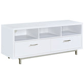 Tampa Furniture Outlet - Coaster - Casey 2-drawer Engineered Wood 60-inch TV Stand White - 701972