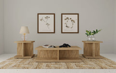 Tampa Furniture Outlet - Coaster - Cortona 3-piece Coffee and End Table Set Mango - 706178-S3