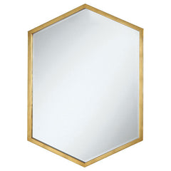 Tampa Furniture Outlet - Coaster - Bledel 24 x 34 Inch Hexagonal Wall Mirror Gold - 902356