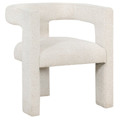 Tampa Furniture Outlet - Coaster - Petra Boucle Upholstered Accent Side Chair White - 902881
