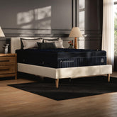 Tampa Furniture Outlet Lutz - Ashley Furniture - Dreamcloud Ultra Memory Foam Mattresses - Queen - M12331