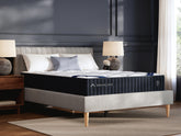 Tampa Furniture Outlet Lutz - Ashley Furniture - DreamCloud Classic Hybrid Mattresses - Twin XL - M13571