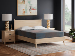 Tampa Furniture Outlet Lutz - Ashley Furniture - 13 Inch Hybrid Hot Buy Mattresses - California King / Multi - M20751