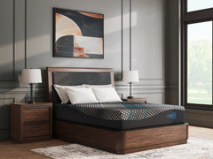 Tampa Furniture Outlet Lutz - Ashley Furniture - Millennium 2.0 Foam 12 Inch Mattresses - Queen - M31131