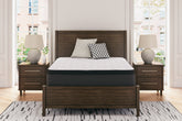 Tampa Furniture Outlet Lutz - Ashley Furniture - Limited Edition PT Mattresses - Twin / White - M41211