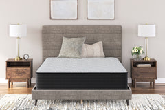 Tampa Furniture Outlet Lutz - Ashley Furniture - Palisades Plush Mattresses - California King / Gray/Blue - M41651