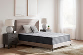 Tampa Furniture Outlet Lutz - Ashley Furniture - Anniversary Edition Plush Mattresses - Full - M42121