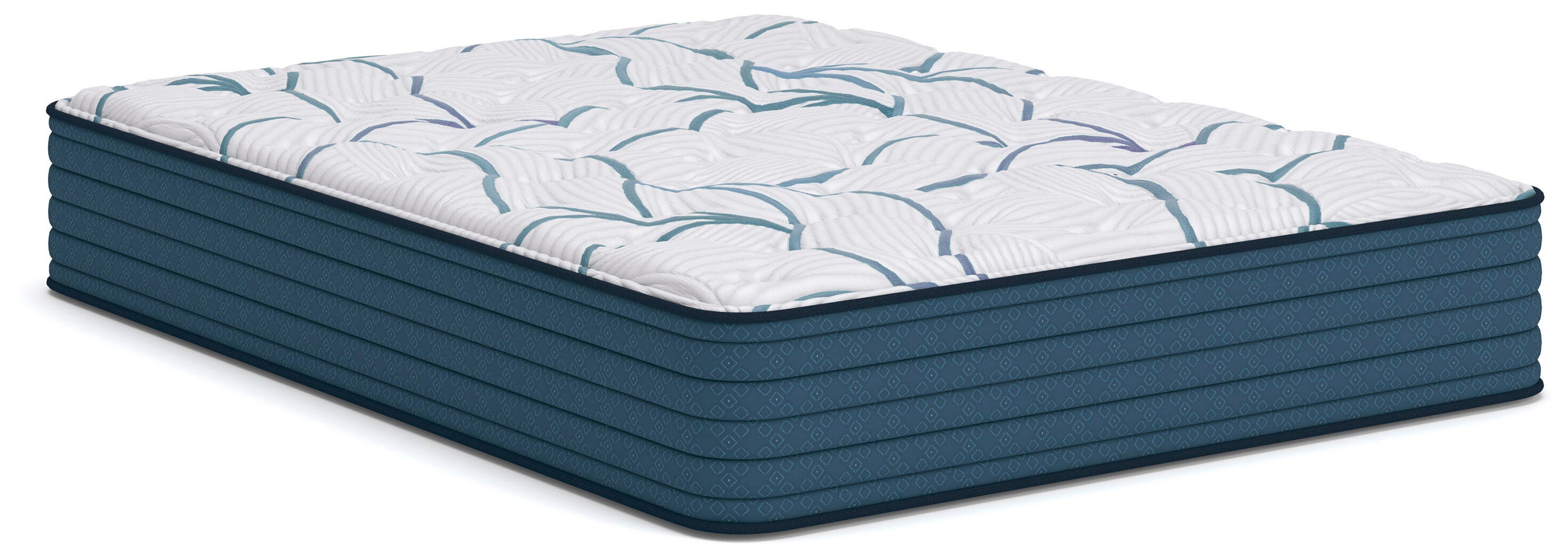 Tampa Furniture Outlet Lutz - Ashley Furniture - Limited Edition Plush 3.0 Mattresses - Queen - M45131