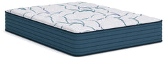 Tampa Furniture Outlet Lutz - Ashley Furniture - Limited Edition Plush 3.0 Mattresses - Queen - M45131