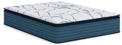 Tampa Furniture Outlet Lutz - Ashley Furniture - Limited Edition Plush PT 3.0 Mattresses - Queen - M45231