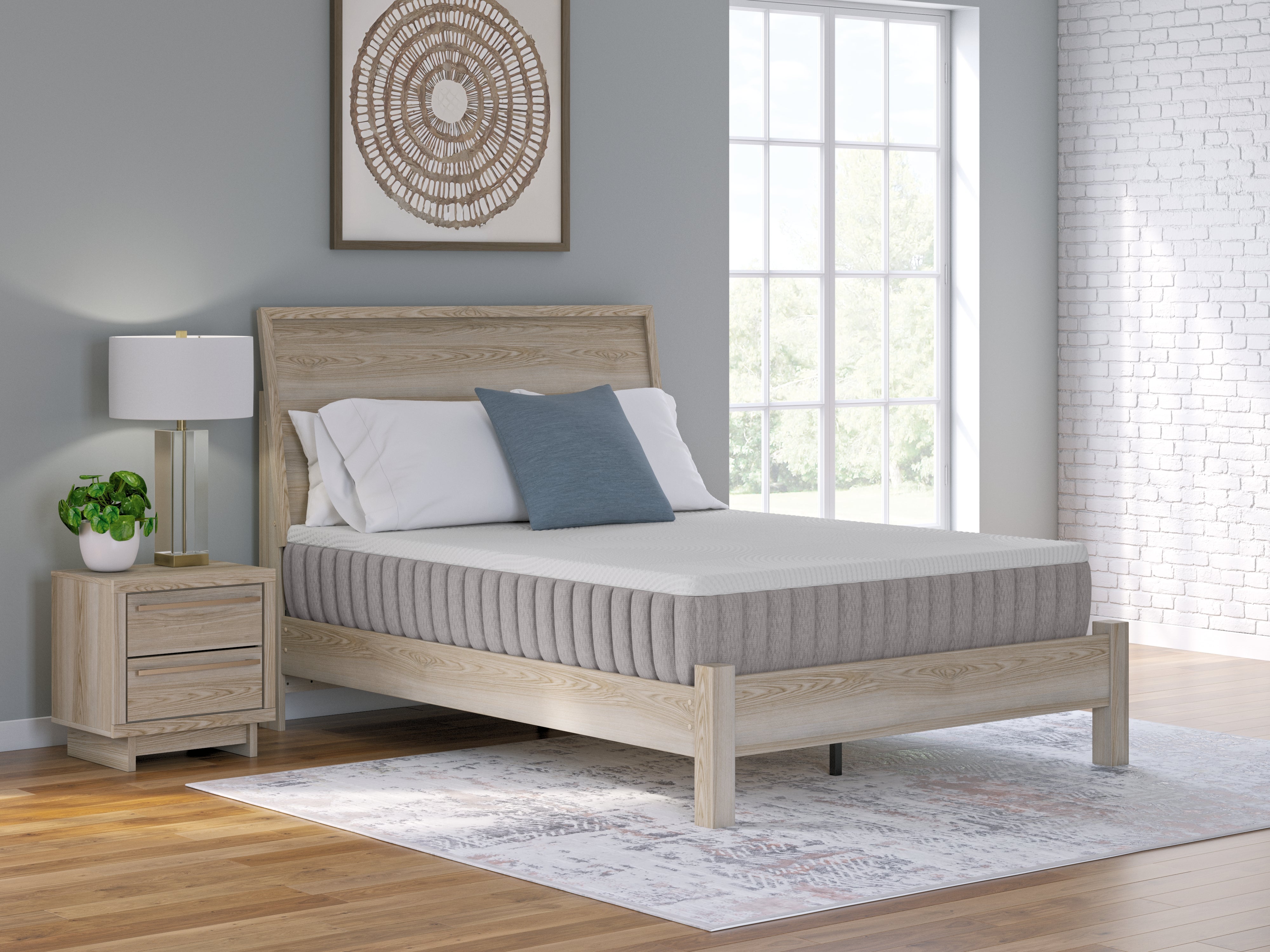 Tampa Furniture Outlet Lutz - Ashley Furniture - Terra Sleep Firm Mattresses - California King / White - M52251