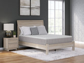 Tampa Furniture Outlet Lutz - Ashley Furniture - Terra Sleep Medium Mattresses - Queen / White - M52331