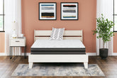 Tampa Furniture Outlet Lutz - Ashley Furniture - 10 Inch Pocketed Hybrid Mattresses - King / White - M58941