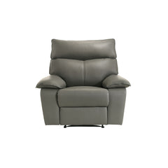 Wildcat Motion Recliner in Aviarah Grey