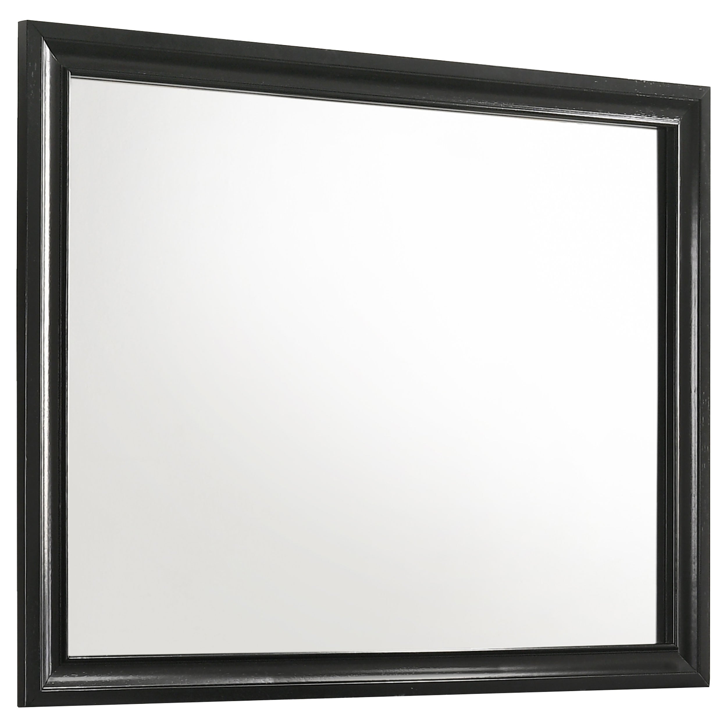 Tampa Furniture Outlet - Coaster - Miranda Dresser Mirror Black - 206364