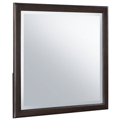Tampa Furniture Outlet - Coaster - Emberlyn Dresser Mirror Brown - 223064