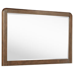 Tampa Furniture Outlet - Coaster - Maderia Dresser Mirror Walnut - 223324