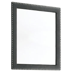 Tampa Furniture Outlet - Coaster - Melody Upholstered Dresser Mirror Grey - 223384