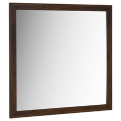Tampa Furniture Outlet - Coaster - Welsley Dresser Mirror Walnut - 223444